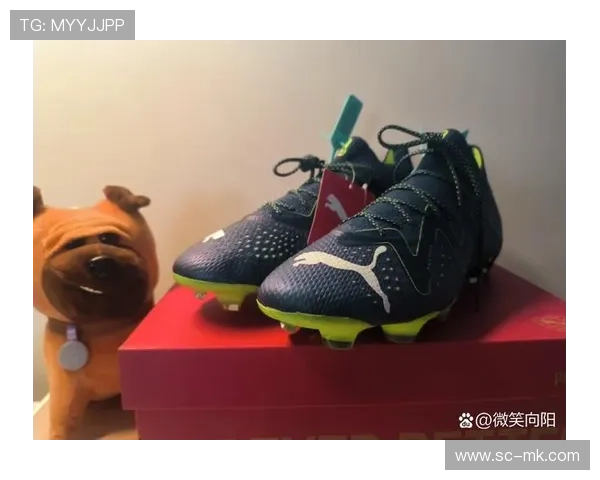 球星专属足球鞋价格揭秘不同品牌与款式差异分析